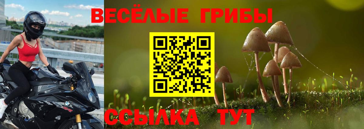 Псилоцибиновые грибы Magic Shrooms  Вход с VPN  Краснодар  Псилоцибиновые грибы Magic Shrooms 